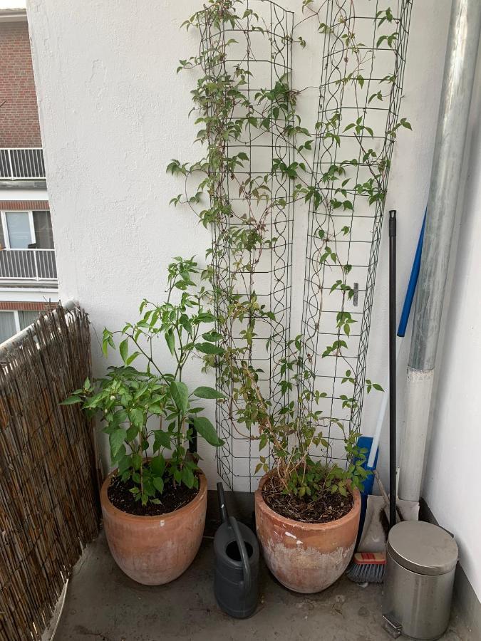 Zentrales Apartement Bremen Bagian luar foto